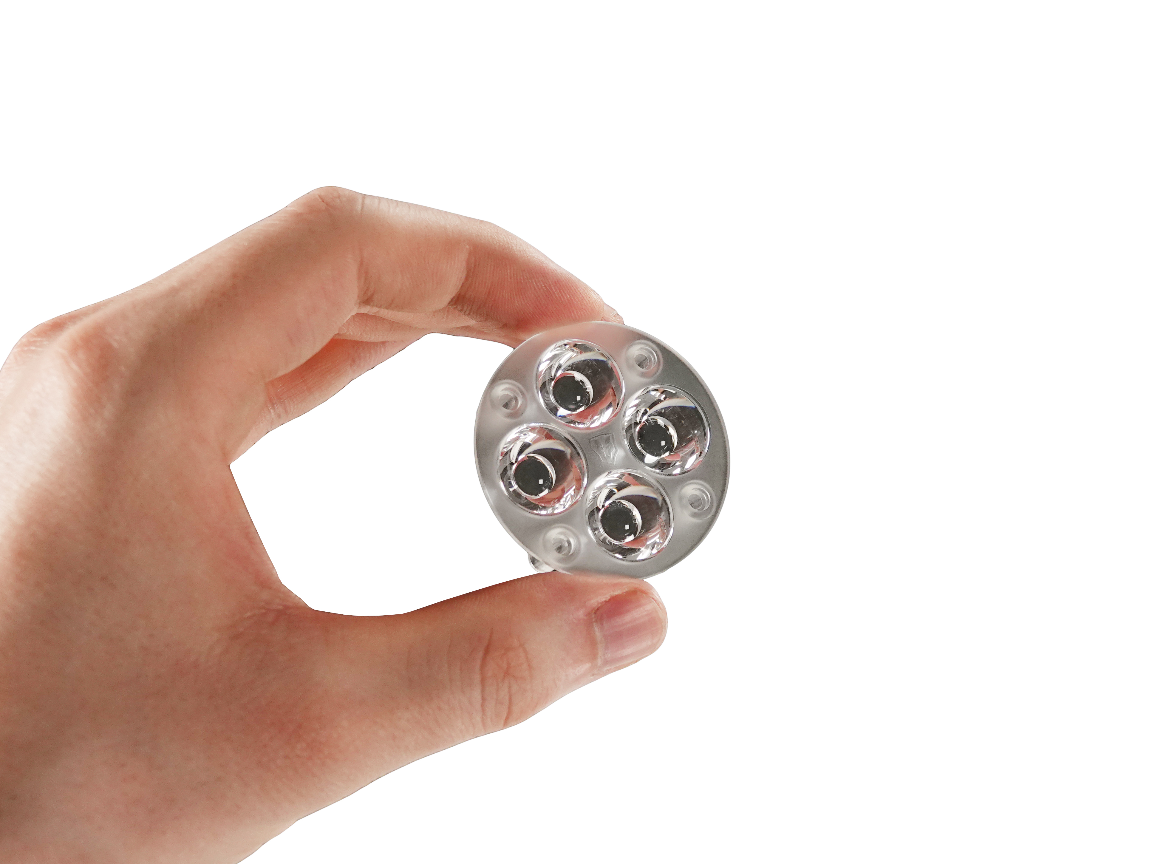 Wilma Lens